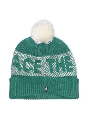 The North Face Beanie (view 1)