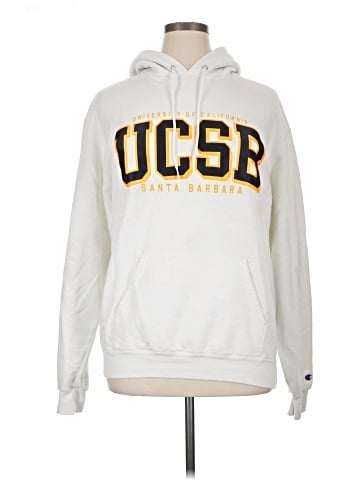 Champion Pullover Hoodie (view 1)