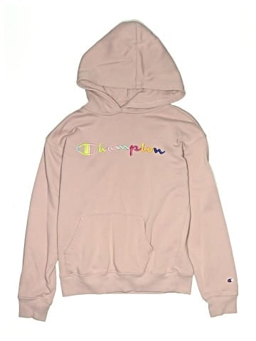 Champion Pullover Hoodie (view 1)