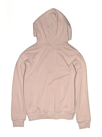 Champion Pullover Hoodie (view 2)