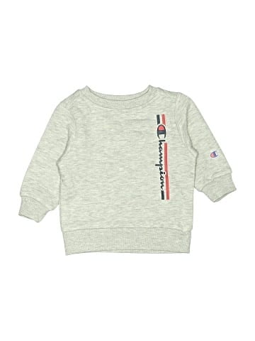 Champion Sweatshirt (view 1)