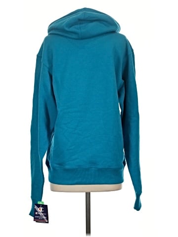 Champion Pullover Hoodie (view 2)