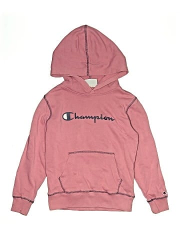 Champion Pullover Hoodie (view 1)
