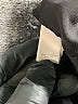 LC Lauren Conrad 100% Polyester Solid Black Shorts Size L - photo 4