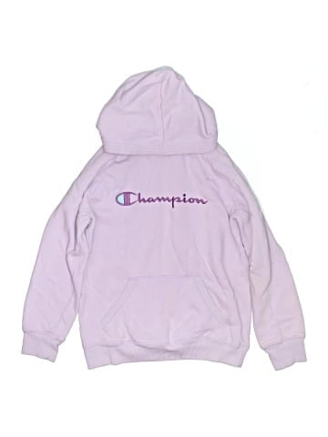 Champion Pullover Hoodie (view 1)