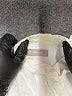 Everlane Ivory Long Sleeve Button-Down Shirt Size 6 - photo 7