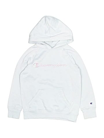 Champion Pullover Hoodie (view 1)