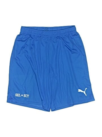 Puma Athletic Shorts (view 1)
