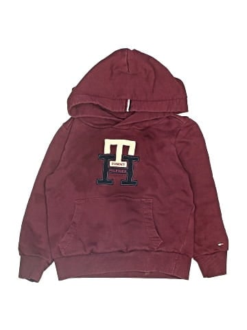 Tommy Hilfiger Pullover Hoodie (view 1)