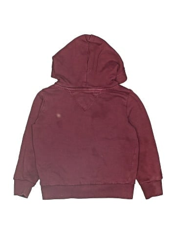 Tommy Hilfiger Pullover Hoodie (view 2)