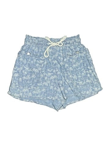 American Eagle Outfitters Shorts (view 1)