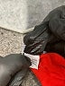 Willi Smith 100% Polyester Red Blazer Size S - photo 7