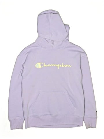Champion Pullover Hoodie (view 1)