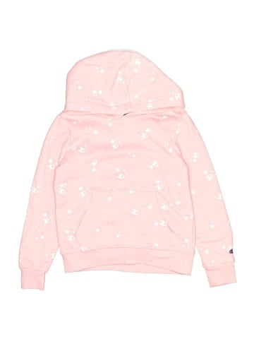Champion Pullover Hoodie (view 1)