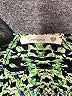 Soprano 100% Polyester Green Kimono Size S - photo 7