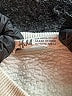 H&M 100% Polyester Ivory Sweatshirt Size 4 - 6 - photo 3