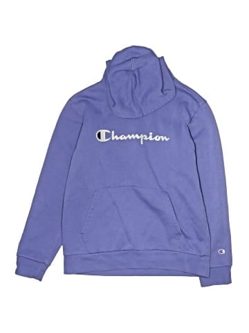 Champion Pullover Hoodie (view 1)