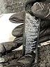 Forever 21 Black Cocktail Dress Size S - photo 8