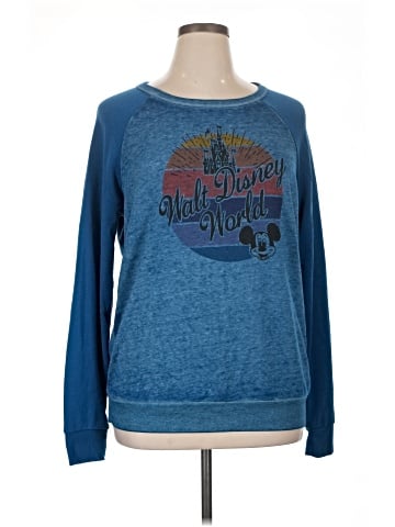 Disney Parks Sweatshirt (view 1)