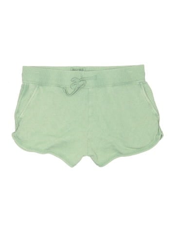 American Eagle Outfitters Shorts (view 1)