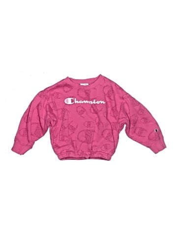 Champion Pullover Sweater (view 1)
