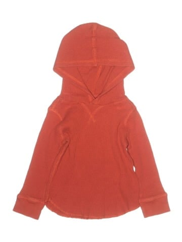 Baby Gap Pullover Hoodie (view 1)