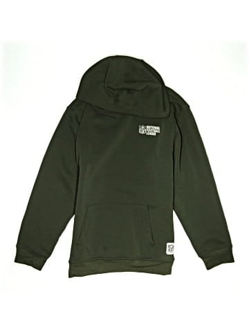 NFL Pullover Hoodie (view 1)