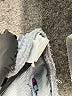 Champion Graphic Gray Athletic Shorts Size L - photo 4