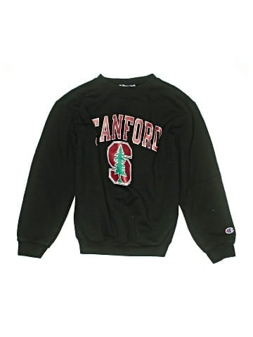 Champion Sweatshirt (view 1)