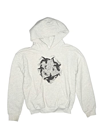 Hanes Pullover Hoodie (view 1)