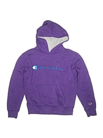 Champion Pullover Hoodie (view 1)