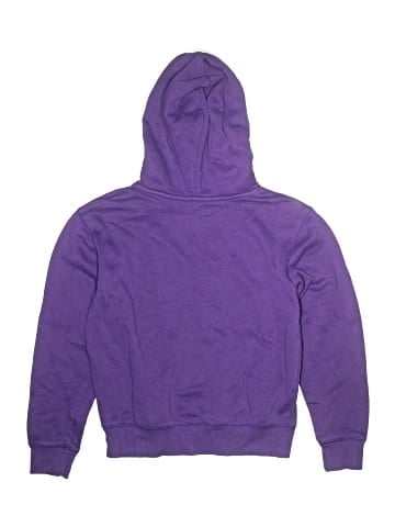 Champion Pullover Hoodie (view 2)