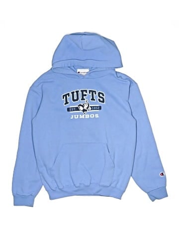 Champion Pullover Hoodie (view 1)