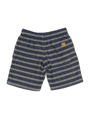 American Hawk Shorts (view 2)