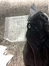 Zara Black Cargo Pants Size 11 - 12 - photo 4