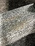 Danskin Gray Athletic Shorts Size M - photo 4