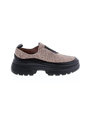 Linea Paolo Sneakers (view 1)