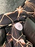 Lululemon Athletica Animal Print Gold Shorts Size 8 - photo 4