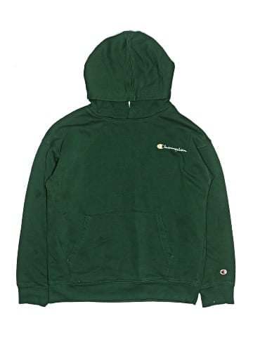 Champion Pullover Hoodie (view 1)