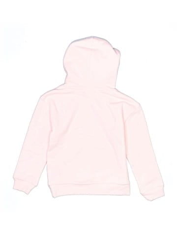 Champion Pullover Hoodie (view 2)