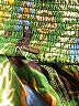 Free People Paisley Green Shorts Size M - photo 3