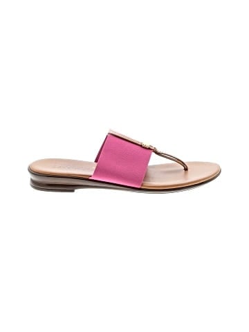 Italian Shoemakers Footwear Flip Flops (view 1)