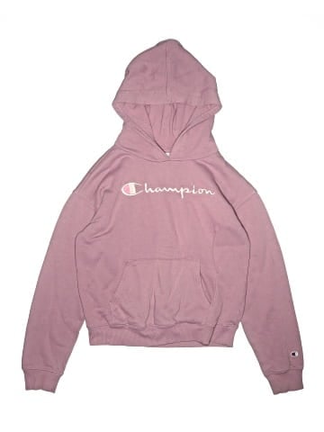 Champion Pullover Hoodie (view 1)