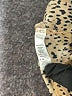 Soprano Animal Print Brown Cocktail Dress Size M - photo 8