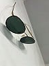 Ray-Ban Green Sunglasses One size - photo 6