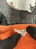 Easel 100% Cotton Orange Sweatshirt Size S - photo 7