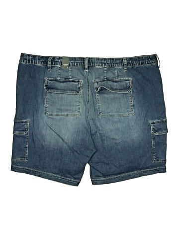 Torrid Denim Shorts (view 2)