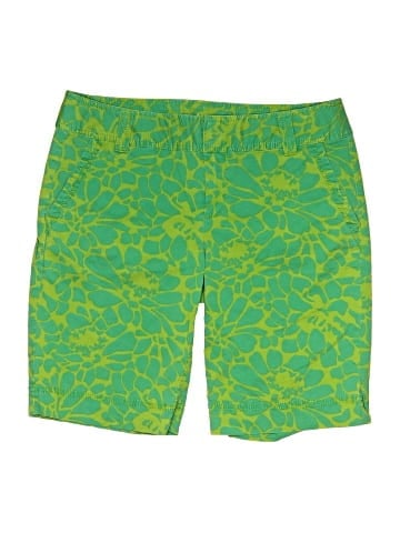 Caslon Khaki Shorts (view 1)