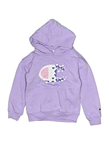 Champion Pullover Hoodie (view 1)
