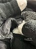 J Brand Black Jeans Size 28 waist - photo 8